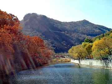 新澳天天开奖资料大全旅游团，大鱼海棠好看吗